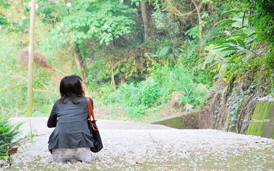 照片：「TAO」BLOG